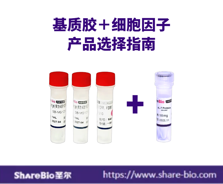 基质胶与细胞因子产品选择列表