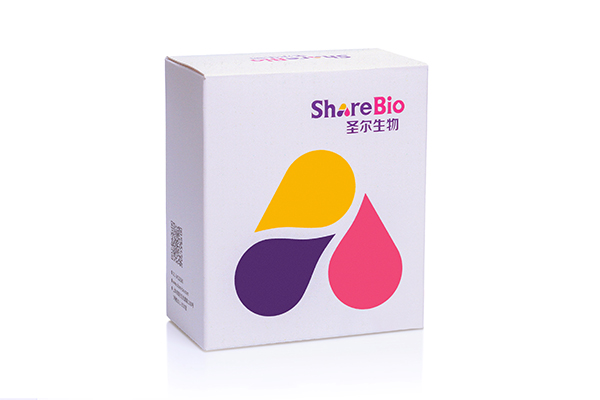 大圣微量DNA凝胶/PCR产物回收试剂盒(通用型) Gel Extraction Kit /PCR Purification Kit