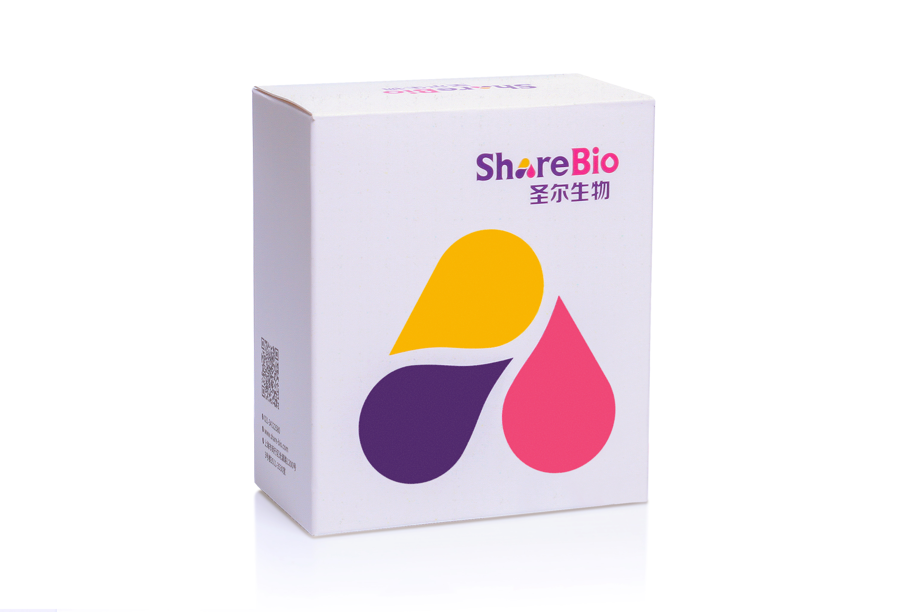 一步法人纤溶酶-抗纤溶酶复合物(PAP)酶联免疫吸附测定试剂盒PAP ELISA KIT Human PAP(Plasmin-Antiplasmin Complex) ELISA Kit