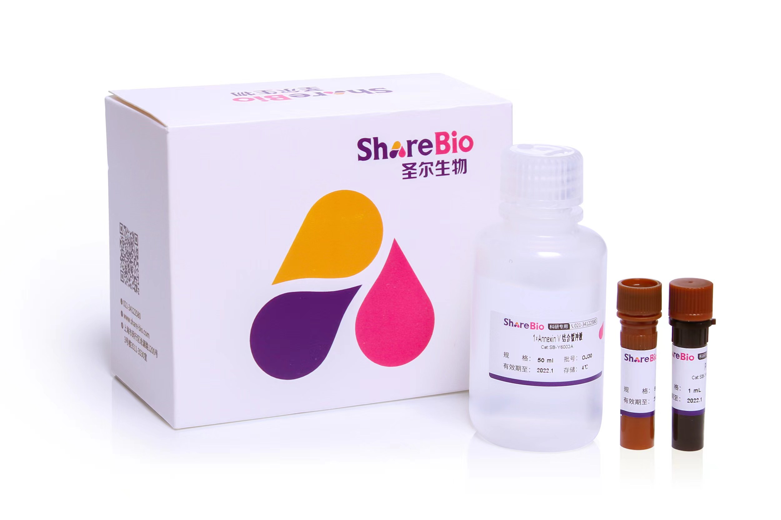 488-Annexin V/RedNucleus Ⅱ 细胞凋亡试剂盒 Annexin V-APC (Allophycocyanin)/RedNucleus Ⅱ Apoptosis Kit