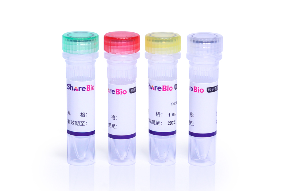 EasyTrans DNA transfection reagent转染试剂 EasyTrans DNA transfection reagent
