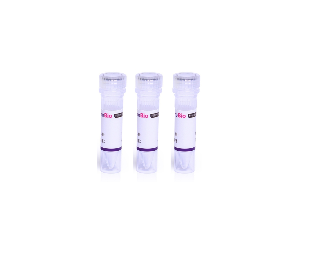 一步法无缝克隆试剂盒 One Step Seamless Cloning Kit