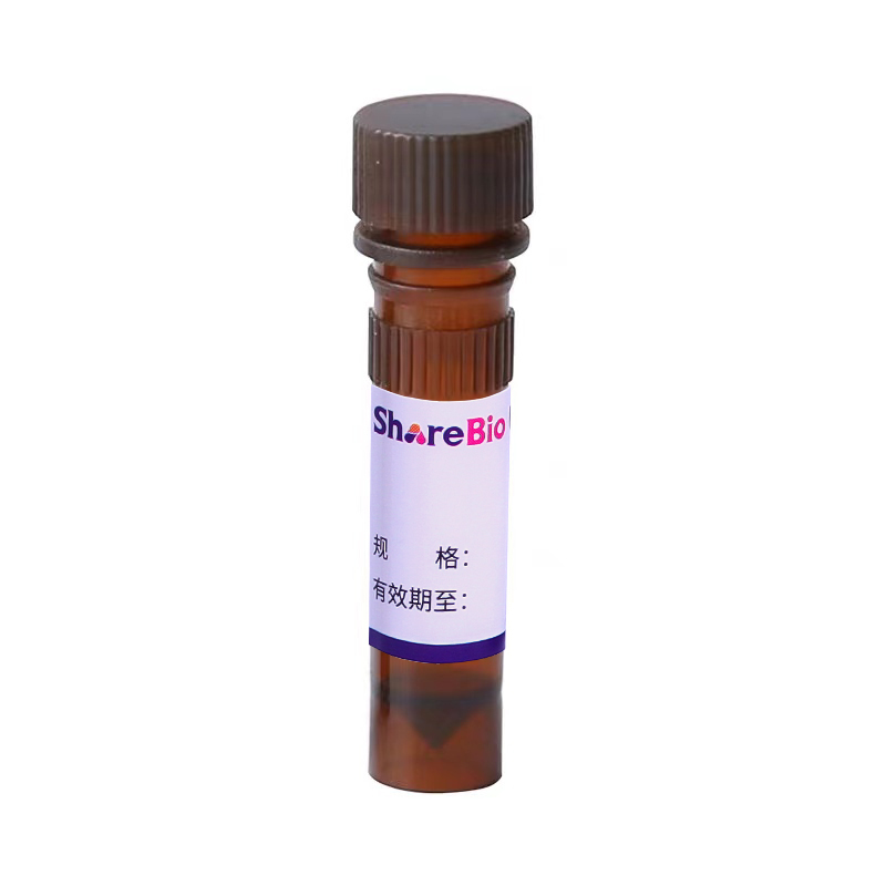 飞敏 X-Green II 双链 DNA 定量试剂盒 FemtoDet dsDNA Quantification Assay Kits