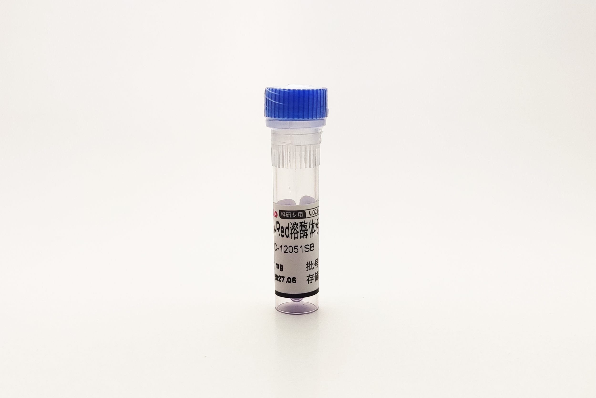 DQ-BSA-Red溶酶体活性检测 DQ-BSA-RED Lysozyme Assay Kit