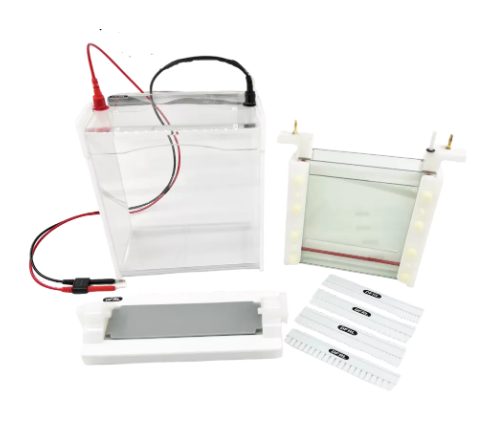 大号蛋白垂直电泳仪