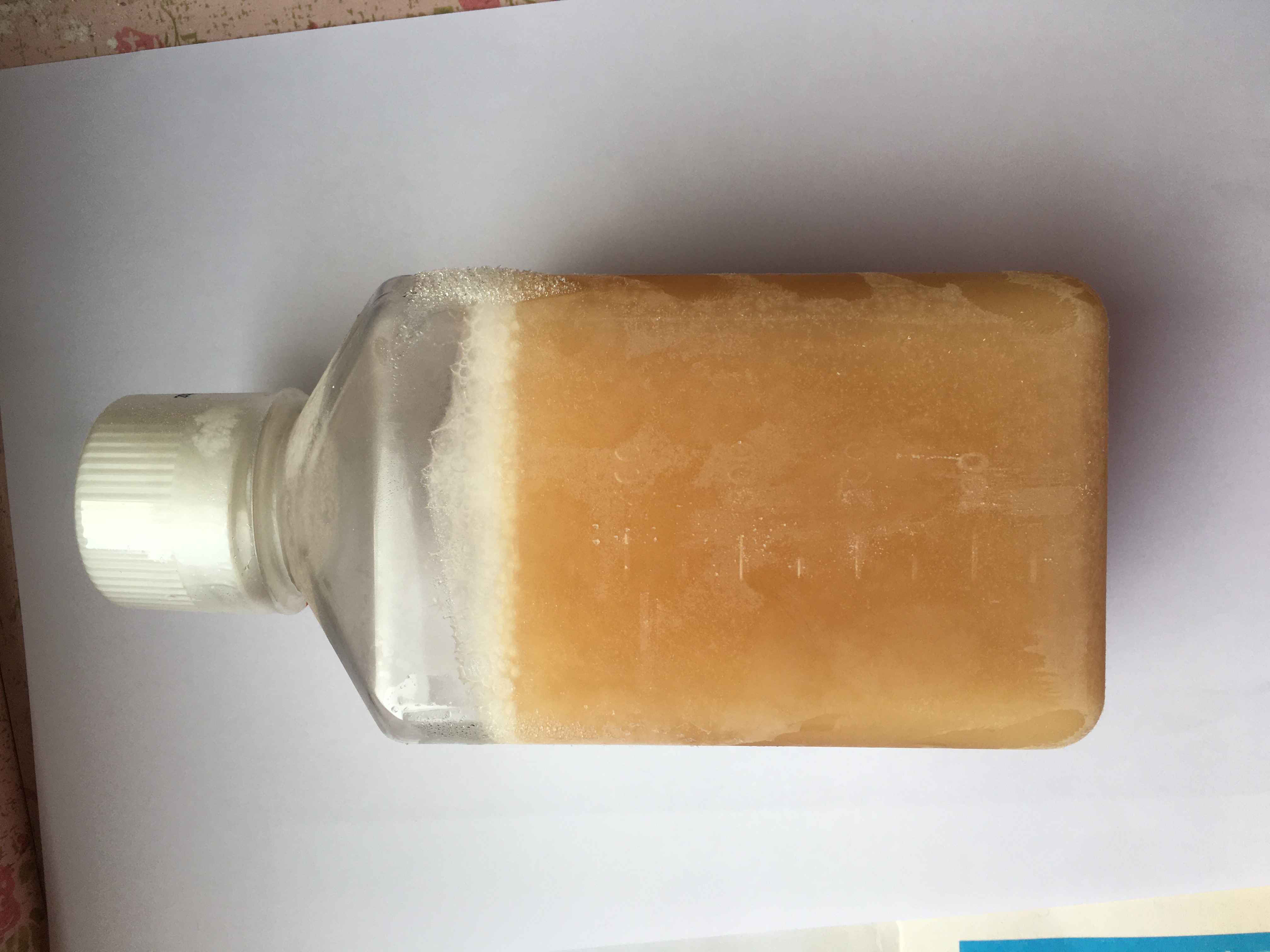 Fetal Bovine Serum(Defined)(试剂)特级南美血清