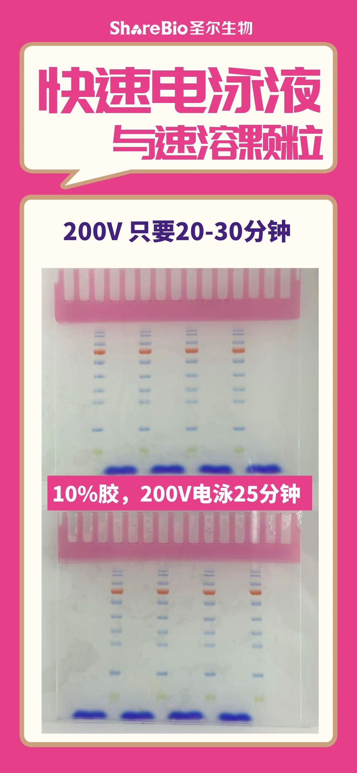 10×快速电泳液