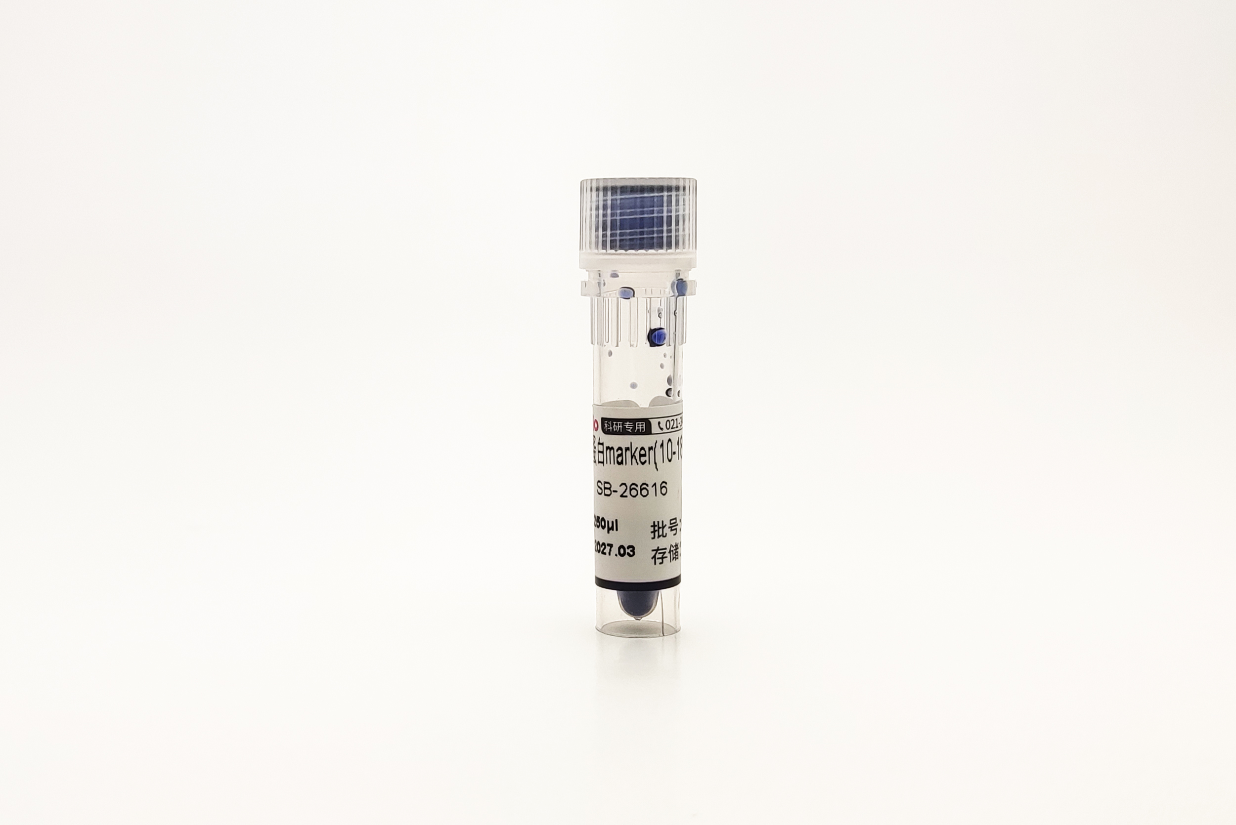 彩色预染蛋白marker(10-180 kDa)