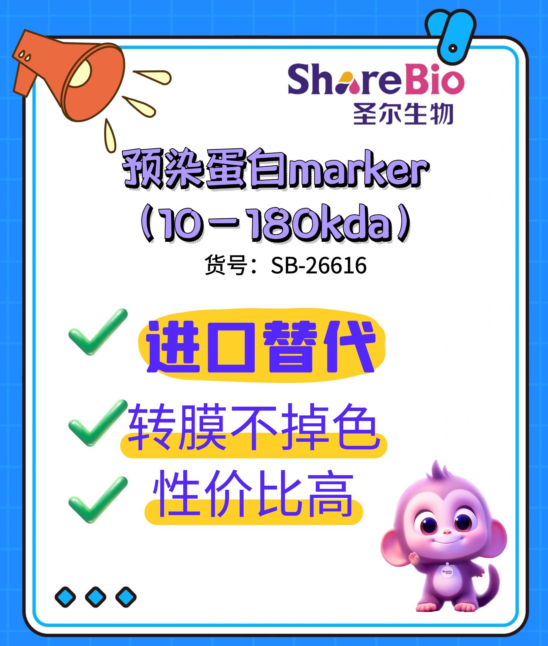 彩色预染蛋白marker(10-180 kDa)