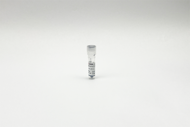 彩色预染蛋白marker(8-250 kDa)