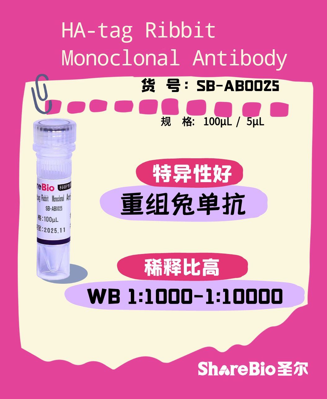 HA-tag Ribbit Monoclonal Antibody