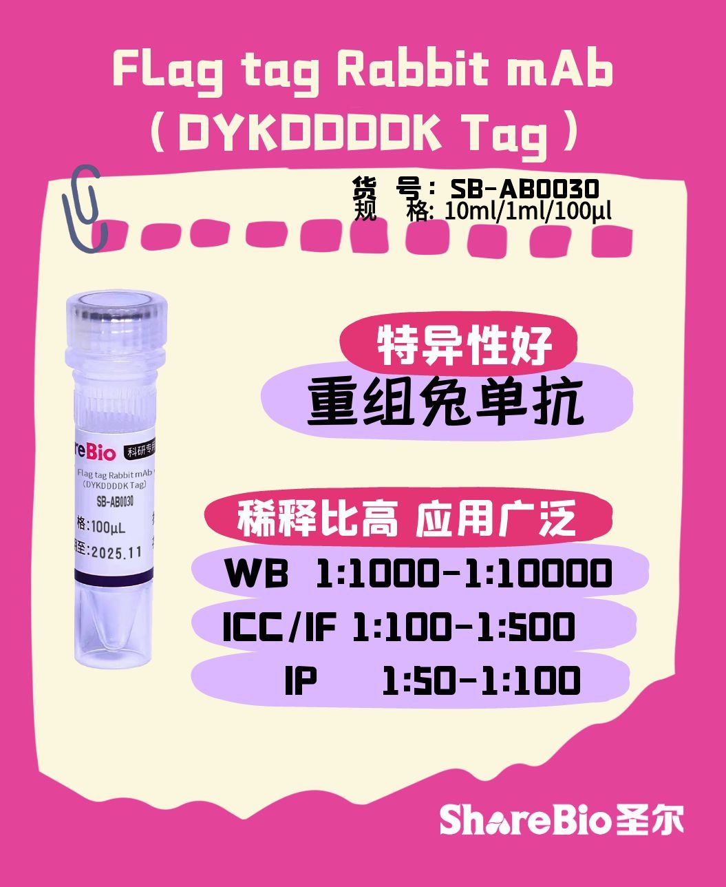Flag tag Rabbit mAb（DYKDDDDK Tag）