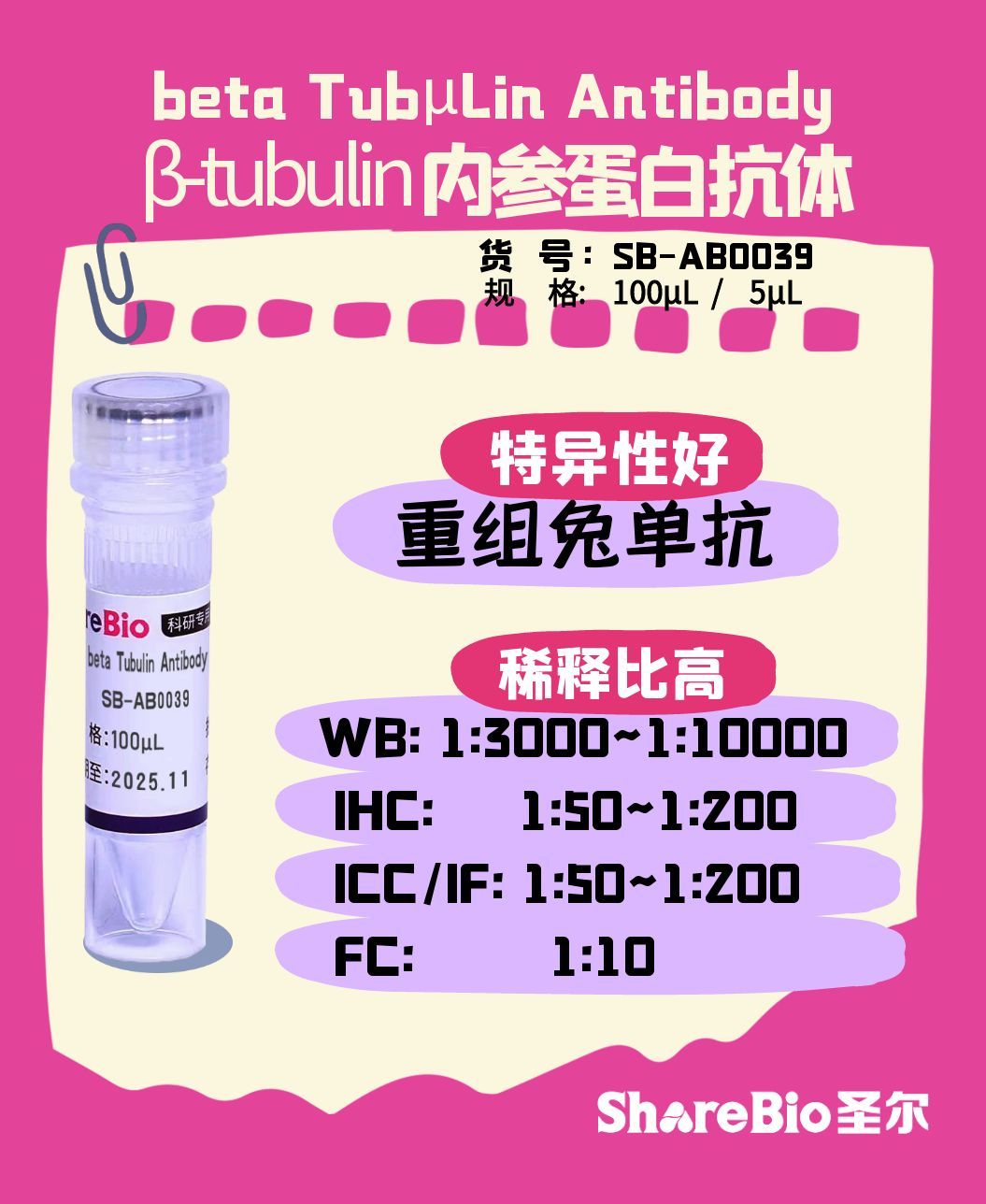 beta Tubulin Antibody