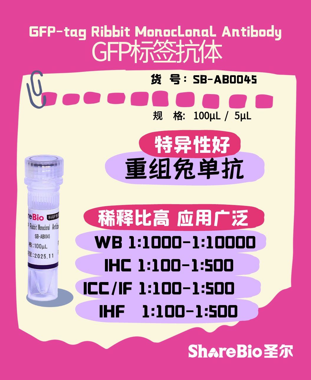 GFP-tag Ribbit Monoclonal Antibody