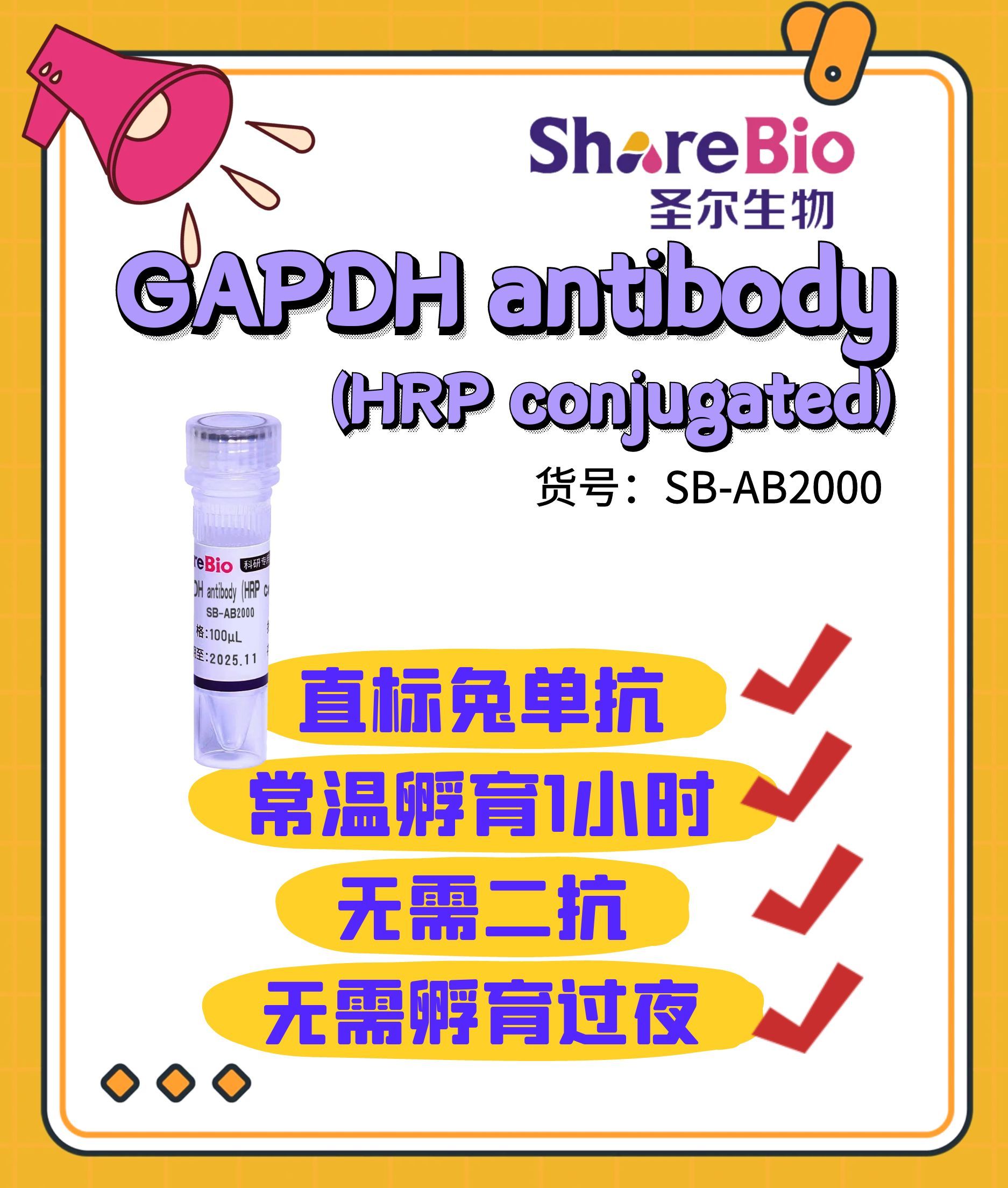 GAPDH antibody(HRP conjugated)