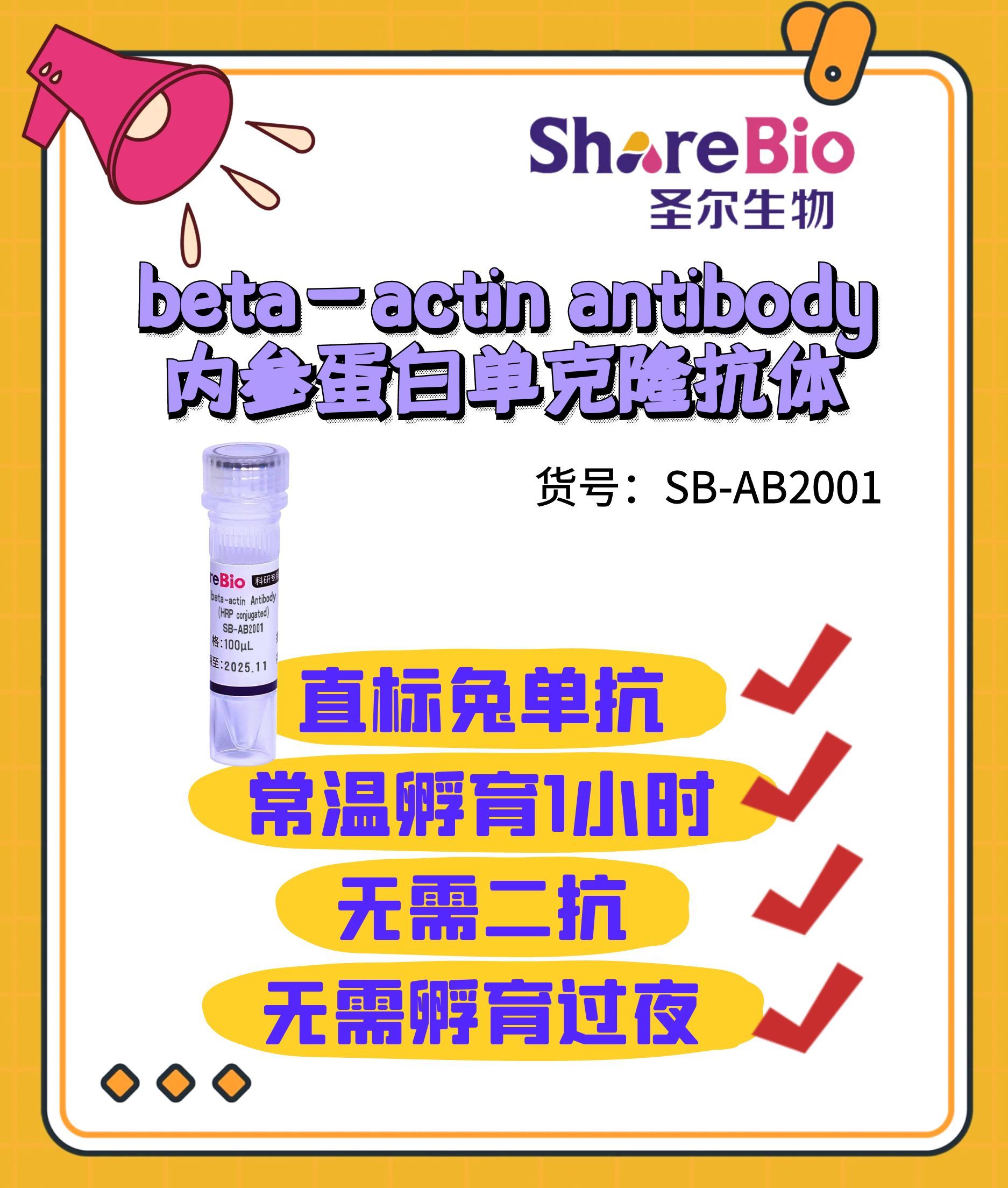 beta-actin antibody（HRP conjugated）HRP标记beta-actin 内参蛋白单克隆抗体