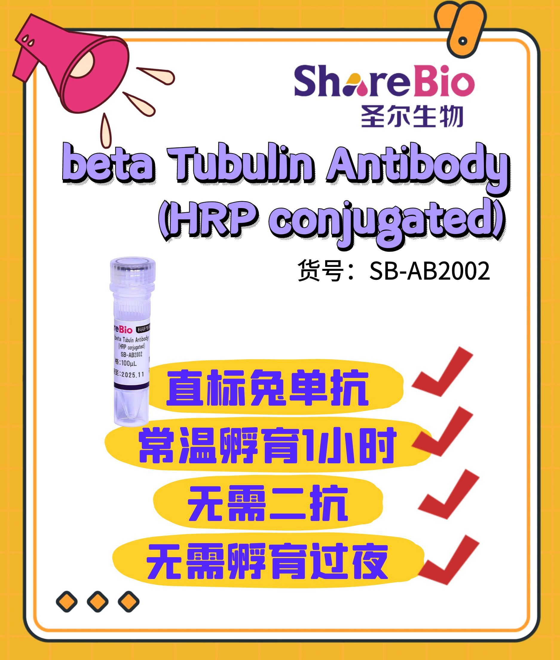 β-Tubulin Antibody (HRP conjugated)