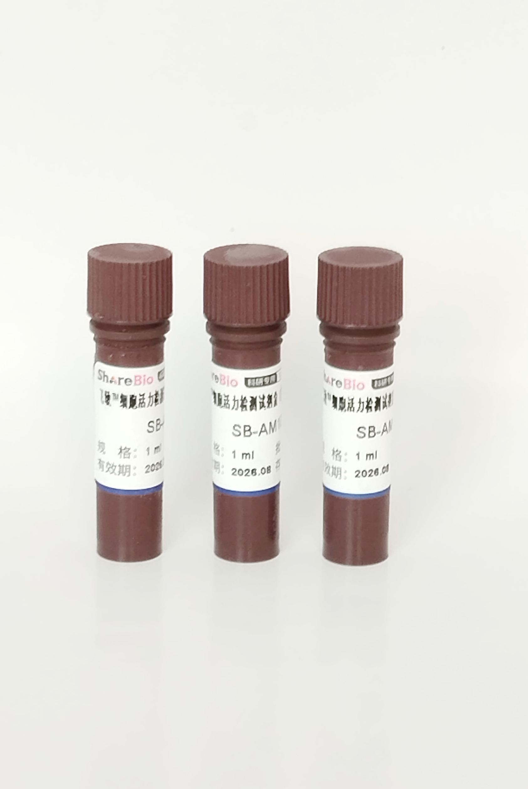 飞敏™细胞活力检测试剂盒(基于ATP含量) FemtoDet Cell Viability Assay System(Based on ATP content)