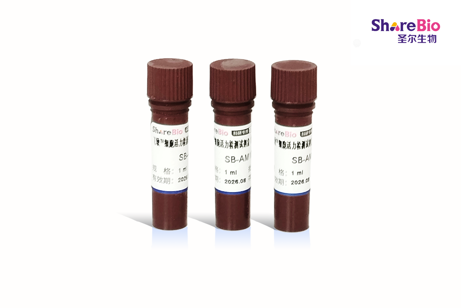 飞敏™细胞活力检测试剂盒（基于ATP含量）