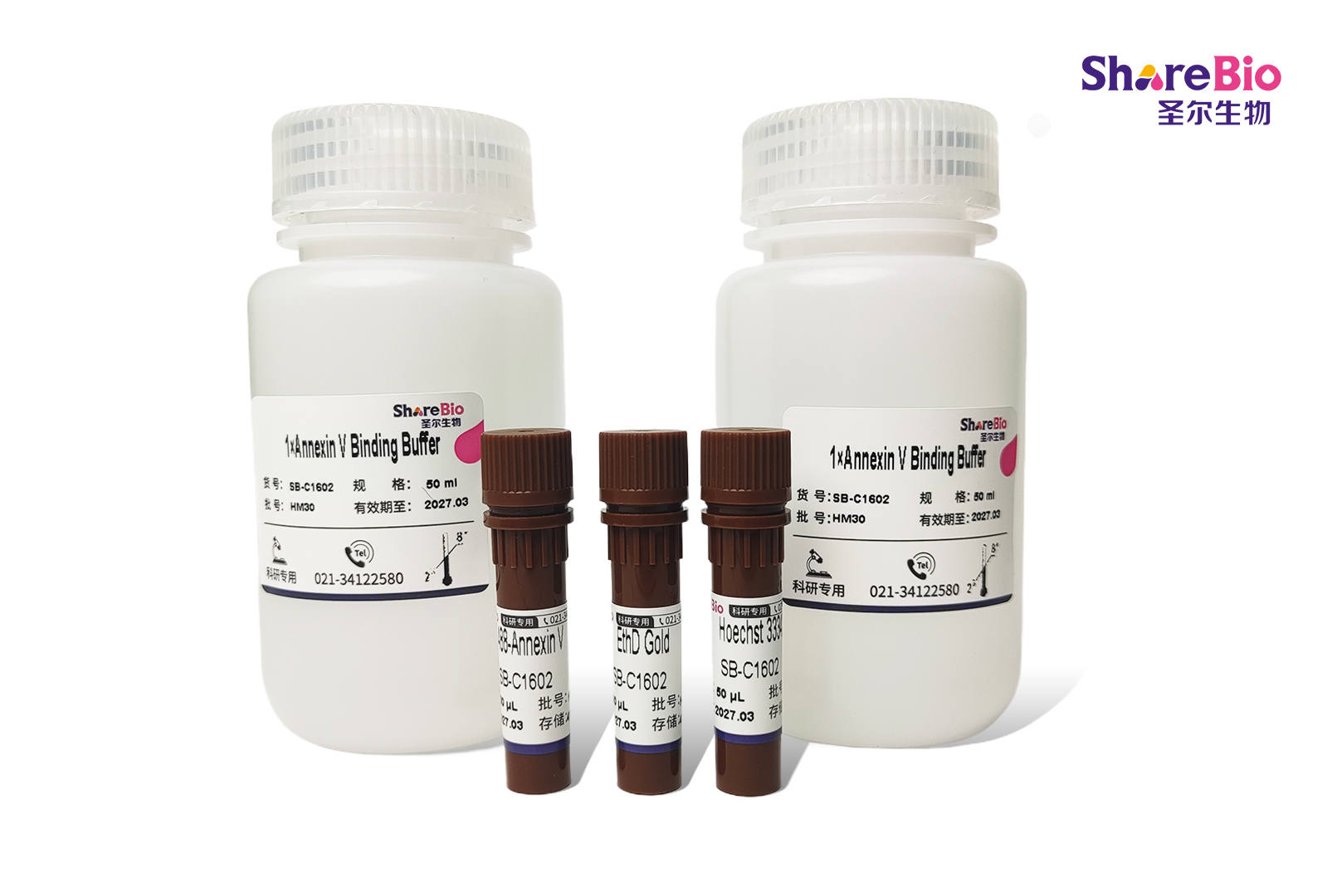 All-in-One 凋亡、坏死和健康细胞全状态检测试剂盒（488-Annexin V, EthD Gold, Hoechst 33342）