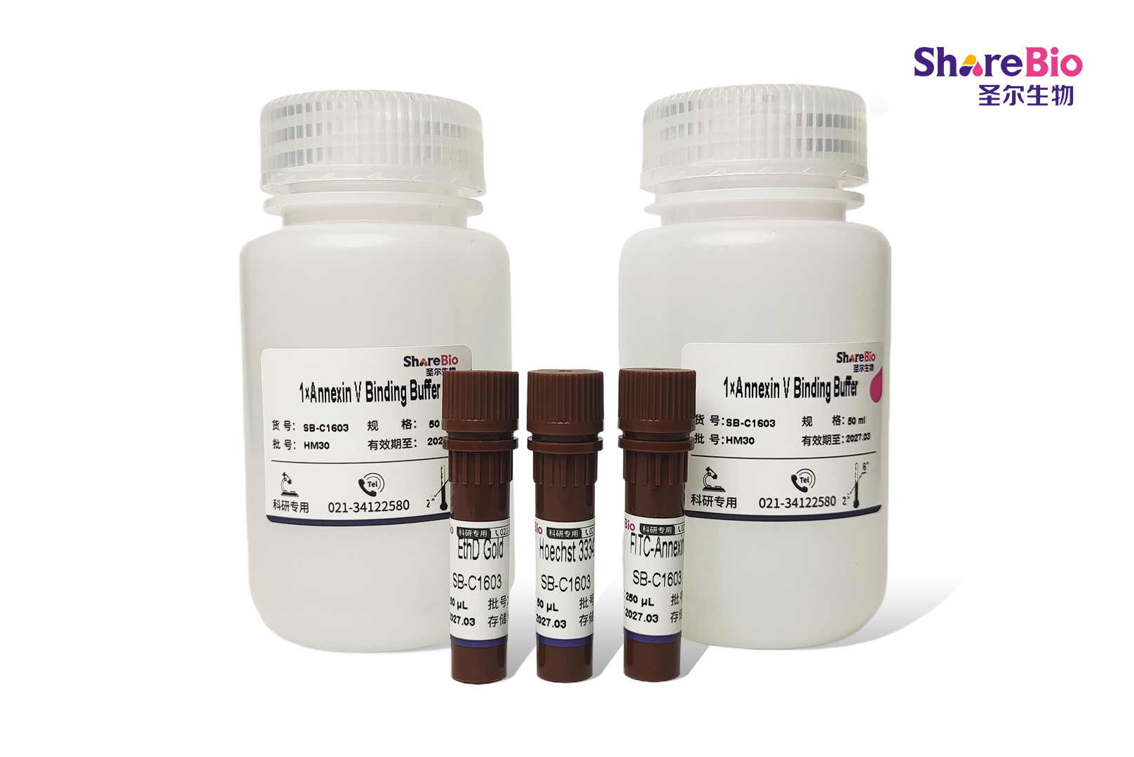 All-in-One 凋亡、坏死和健康细胞全状态检测试剂盒(FITC-Annexin V, EthD Gold, Hoechst 33342)