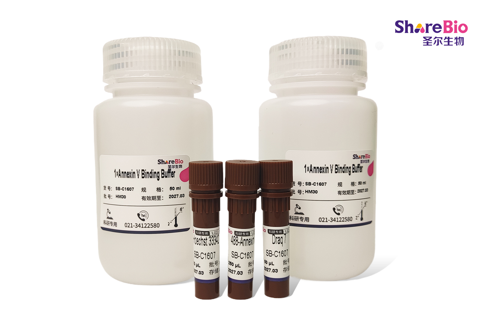 All-in-One 凋亡、坏死和健康细胞全状态检测试剂盒(488-Annexin V, Draq 7, Hoechst 33342)