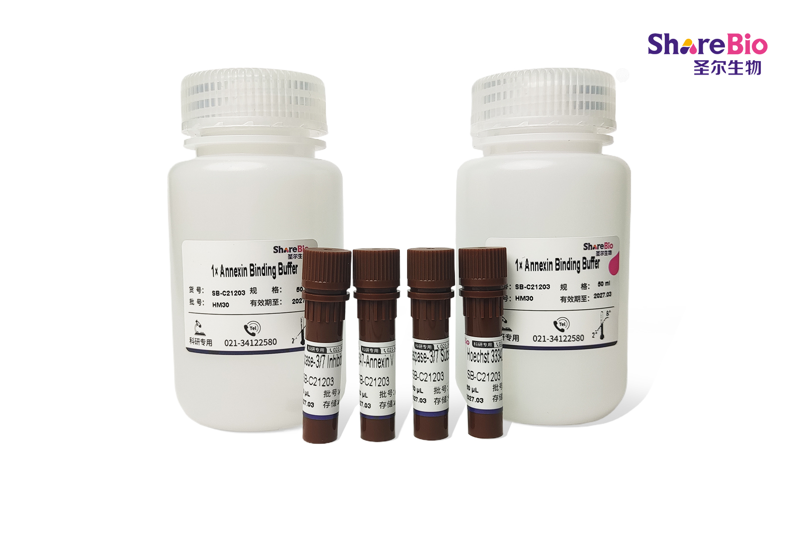 活细胞 Caspase-3/7 活性与Annexin V 双重凋亡检测试剂盒( 488 Caspase-3/7,  647-Annexin V, Hoechst 33342)