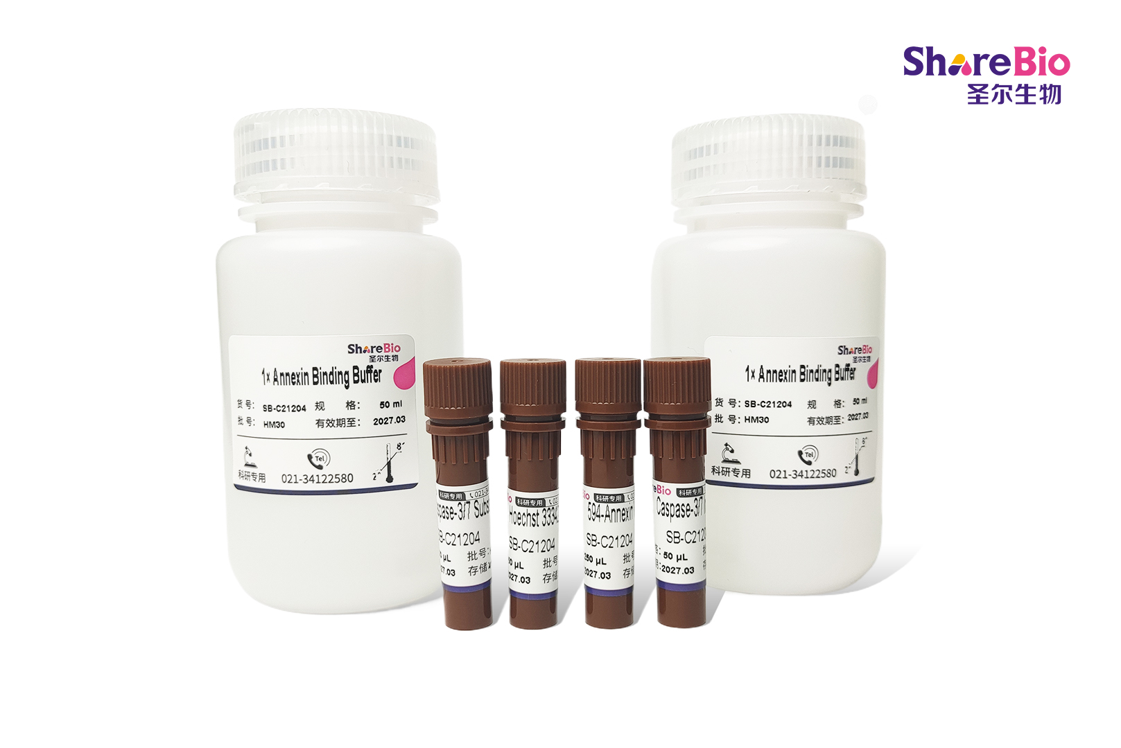 活细胞 Caspase-3/7 活性与Annexin V 双重凋亡检测试剂盒(488 Caspase-3/7, 594-Annexin V, Hoechst 33342)