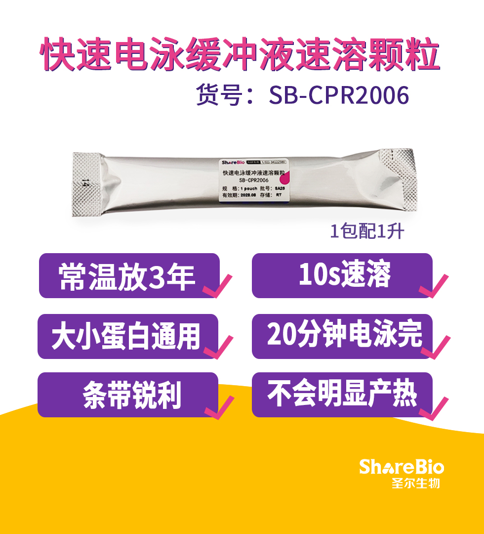 快速电泳缓冲液速溶颗粒