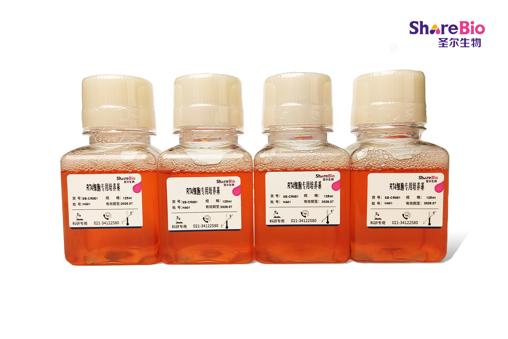 RT4细胞专用培养基