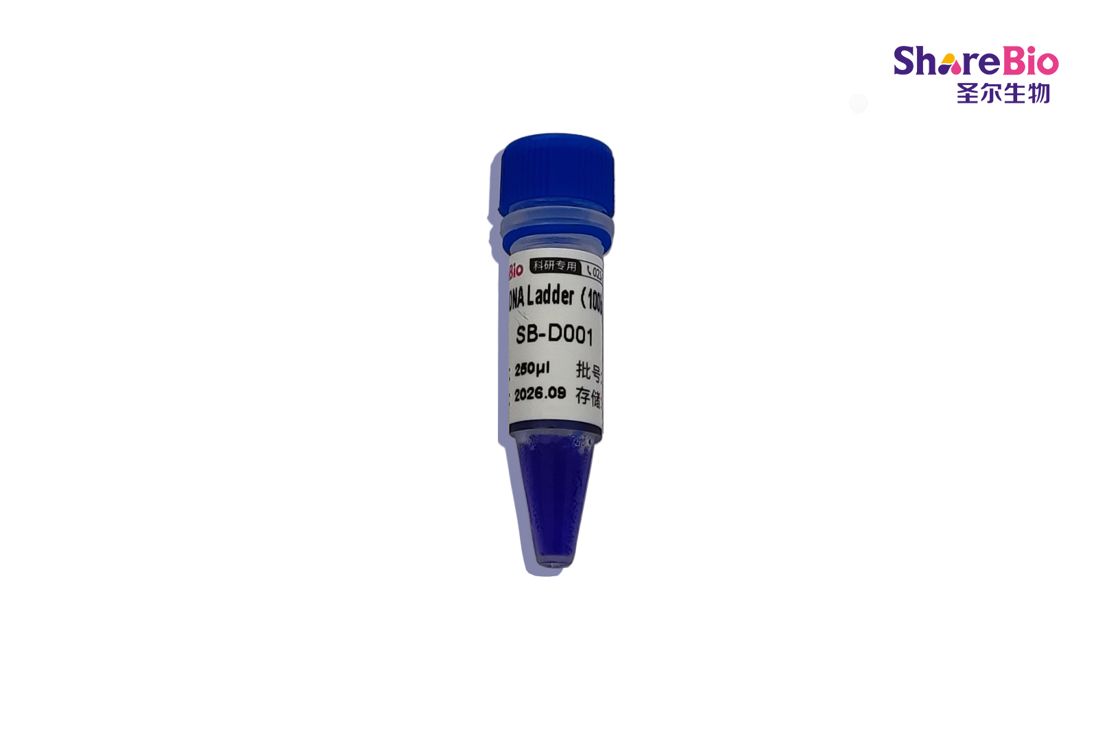 1 kb plus DNA Ladder(100bp-10kb) 1 kb plus double-stranded DNA  Ladder