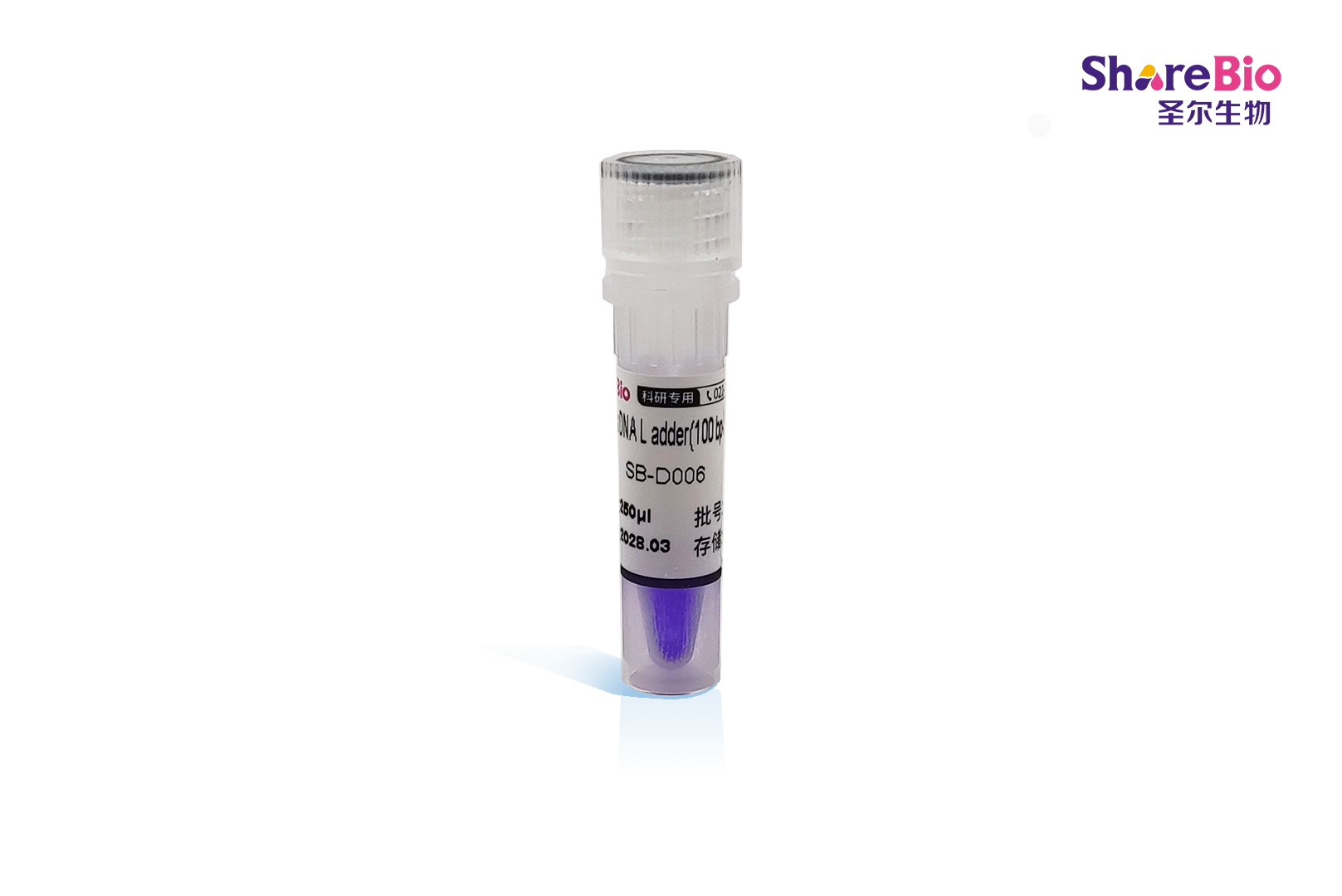 100 bp Plus DNA Ladder(100 bp-5000 bp) 100 bp Plus double-stranded DNA  Ladder