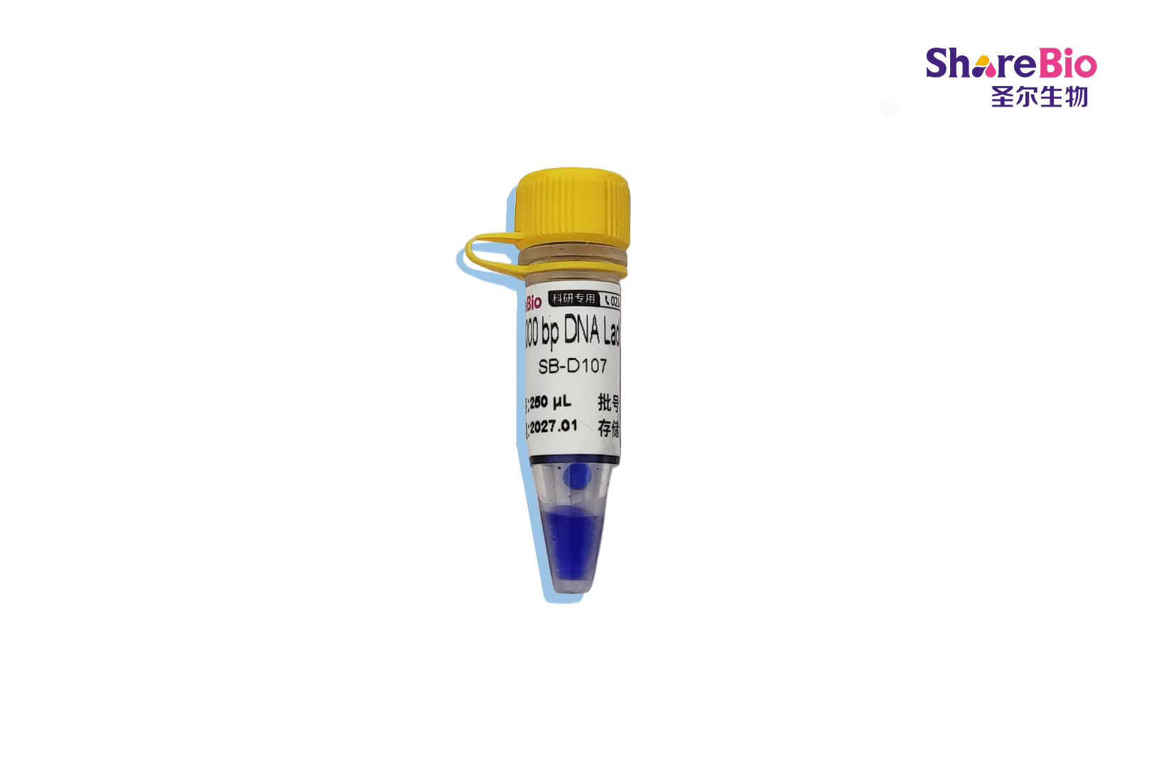 15000 bp DNA Ladder(1 kb-15 kb) 15000 bp double-stranded DNA  Ladder ;15000 bp dsDNA Ladder