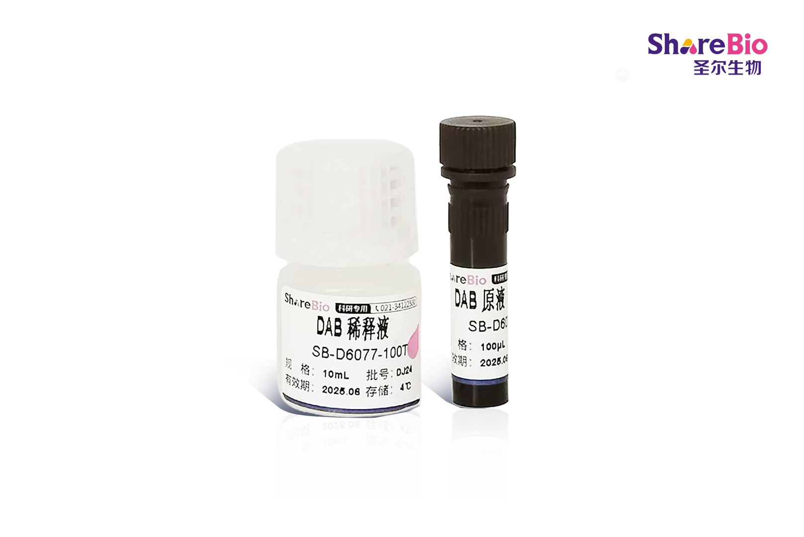 DAB显色试剂盒100X