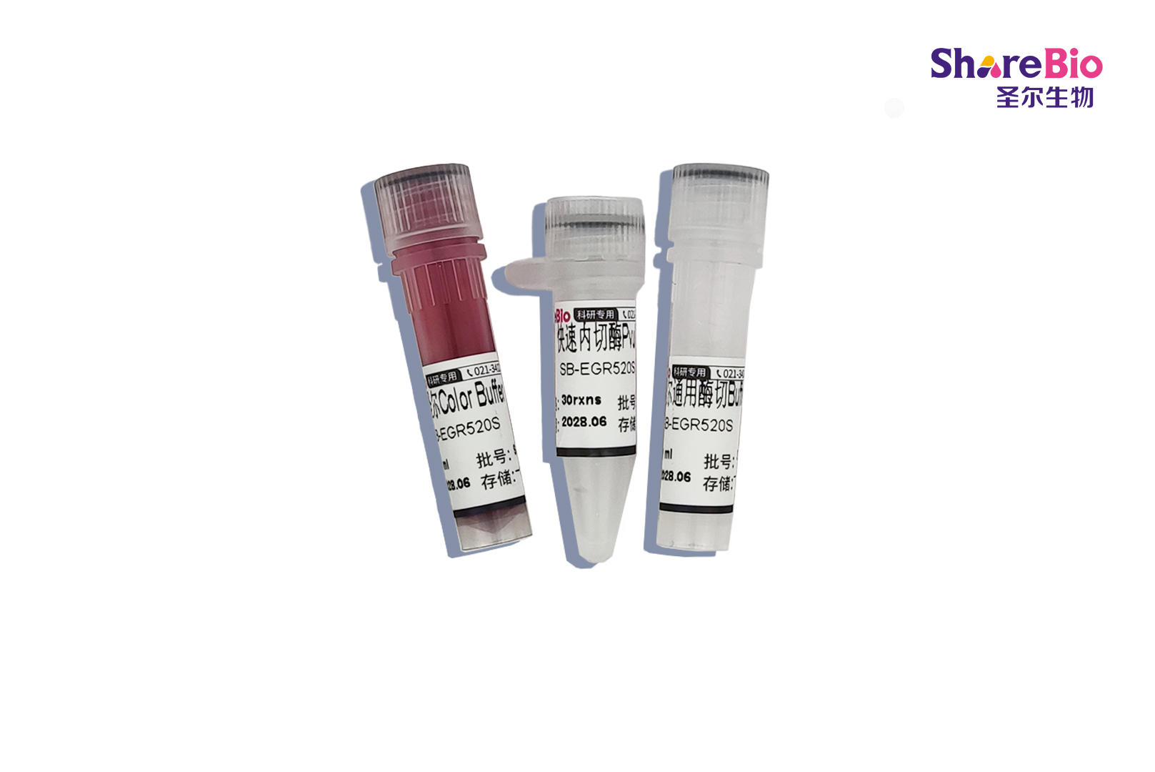 快速内切酶PvuI-HF(同裂酶Ple19I)