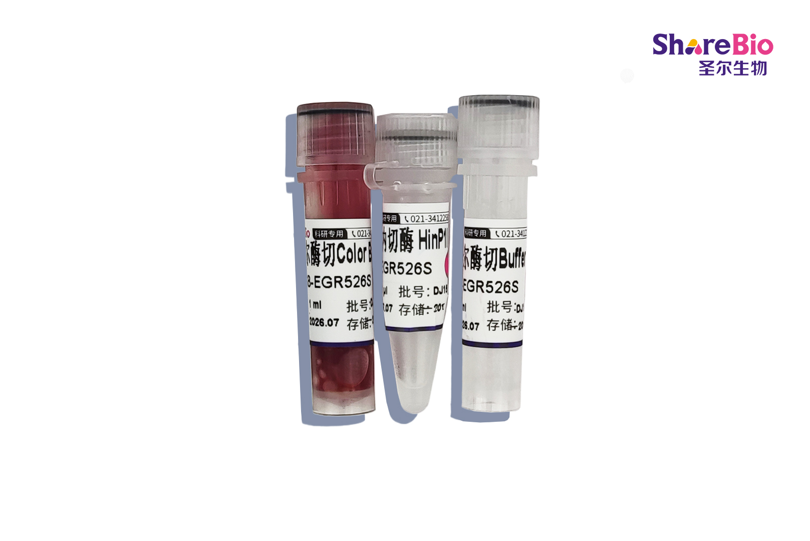 快速内切酶HinP1I-HF(同裂酶HhaI, CfoI, AspLEI, Hin6I, HspAI, BstHHI)