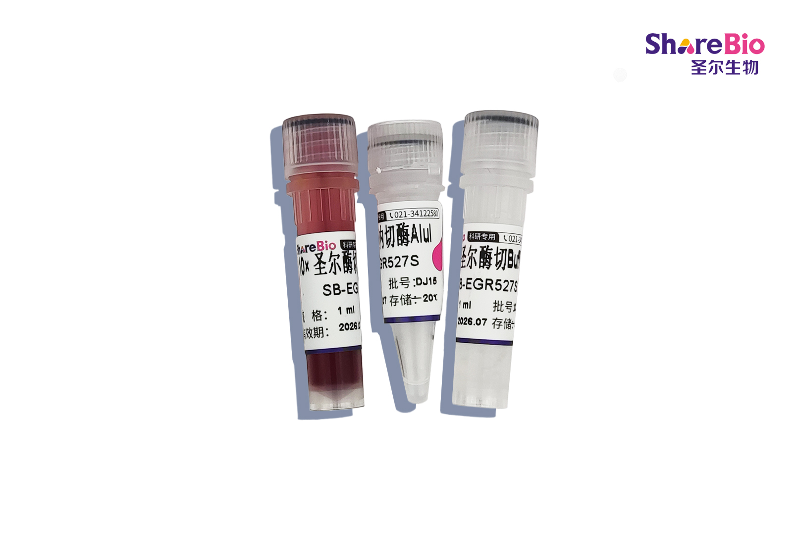 快速内切酶AluI-HF(同裂酶AluBI)