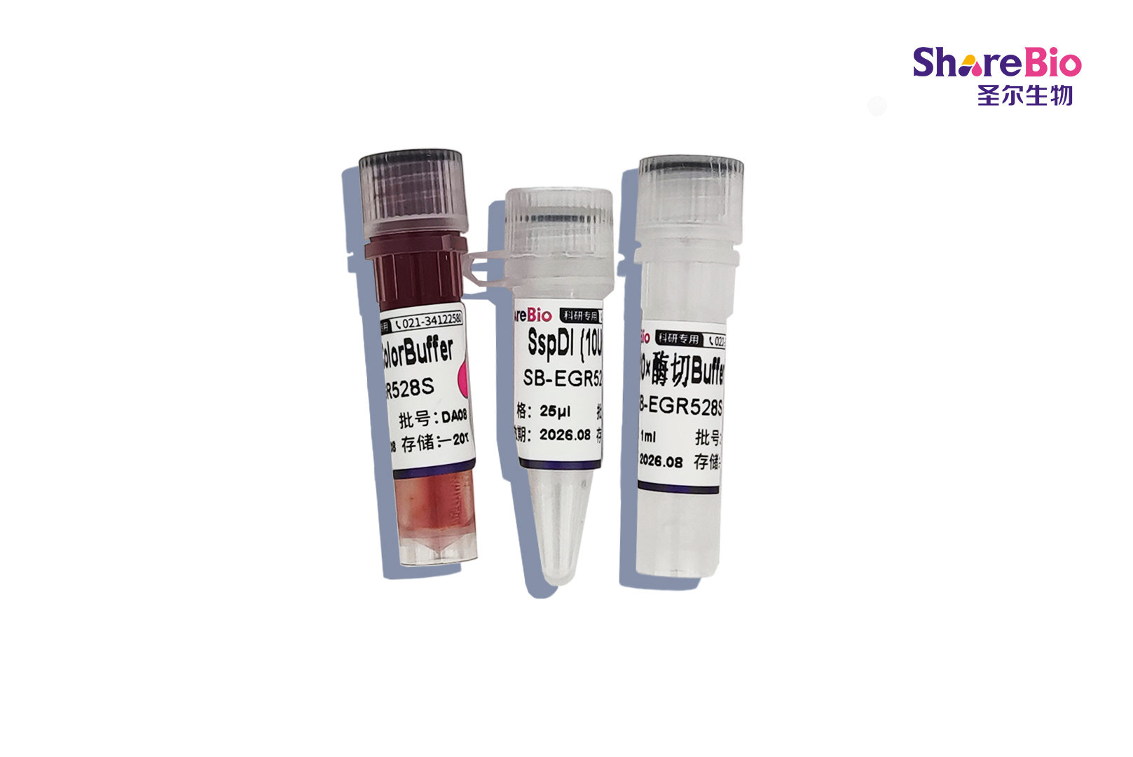 内切酶SspDI（同裂酶KasI）