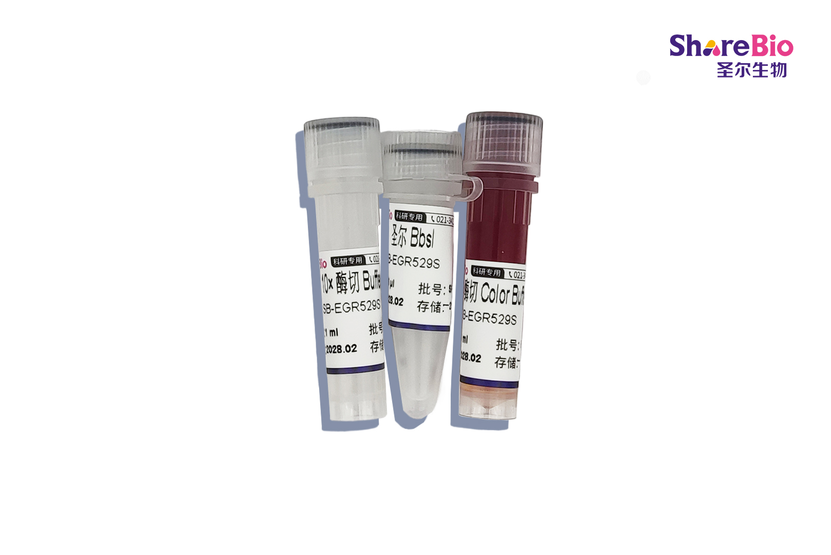 快速内切酶BbsI-HF(同裂酶BstV2I, BpiI)