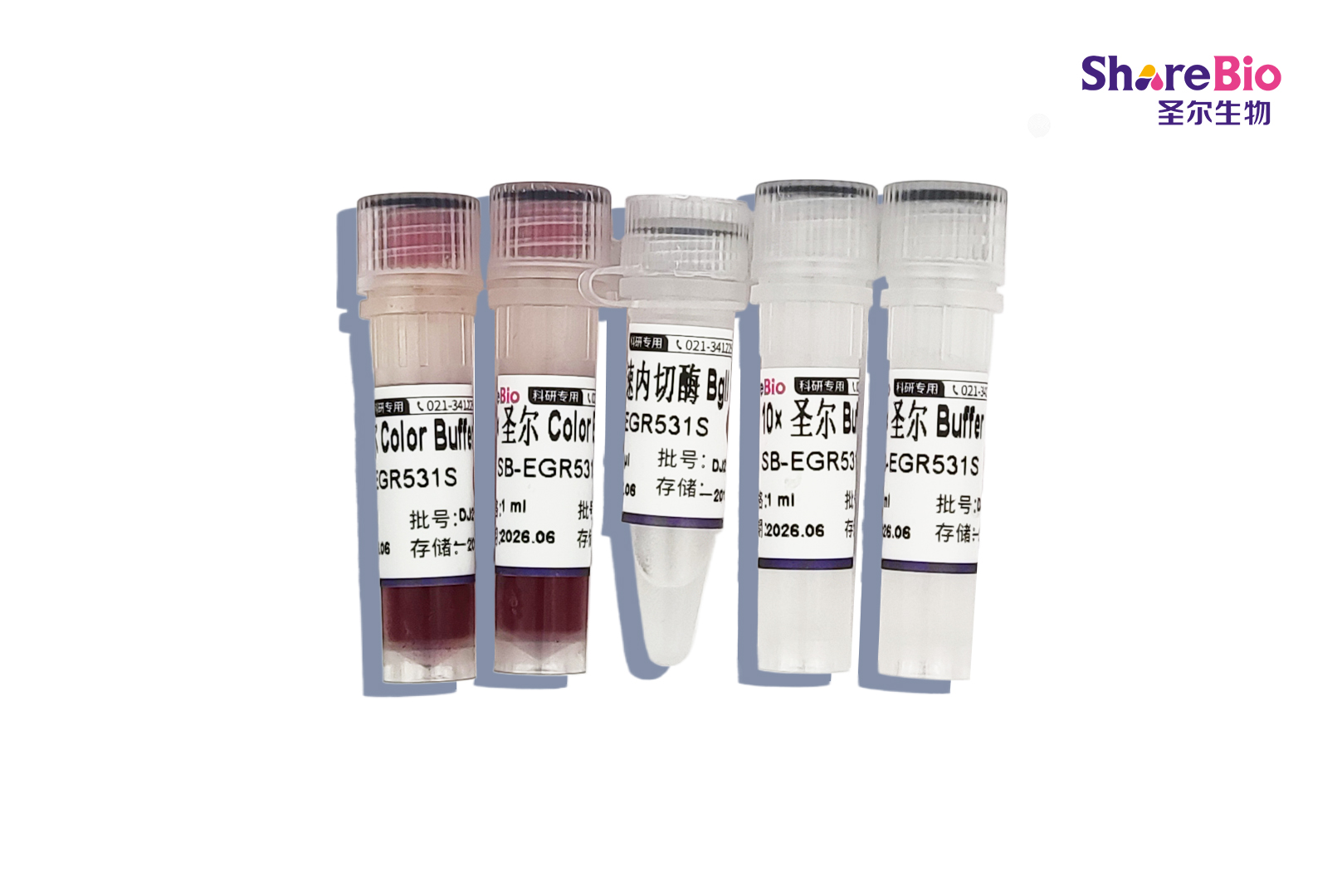 快速内切酶BglI-HF