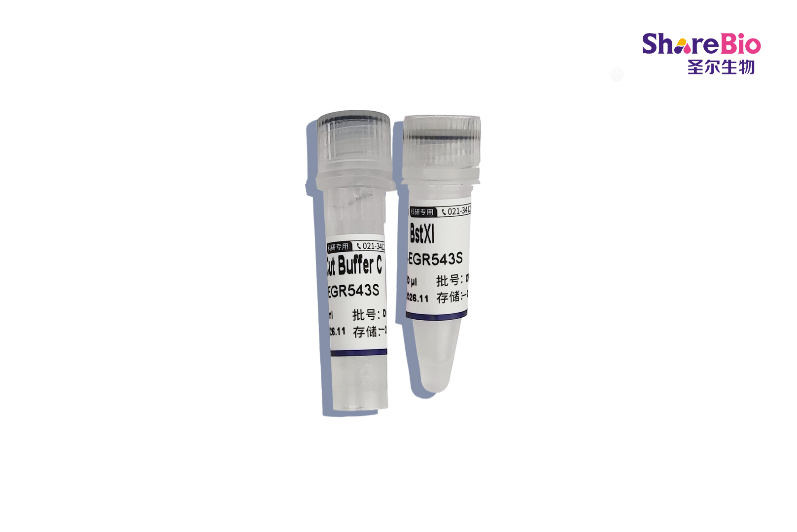 Type IIP型限制性内切酶BstXI