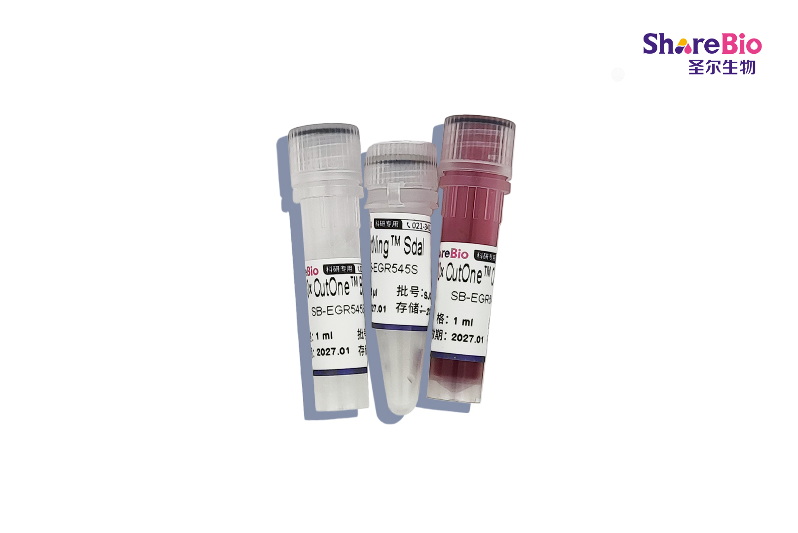 快速内切酶SdaI-HF(同裂酶SbfI, Sse8387I)