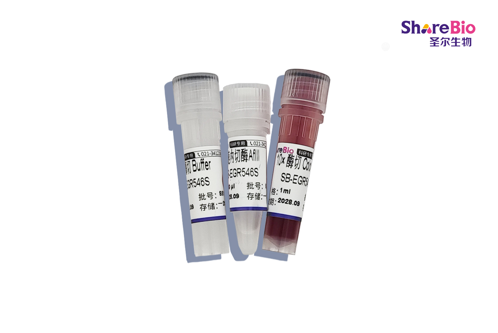 快速内切酶AflII-HF(同裂酶BspTI, BfrI, BstAFI, MspCI, Vha464I)