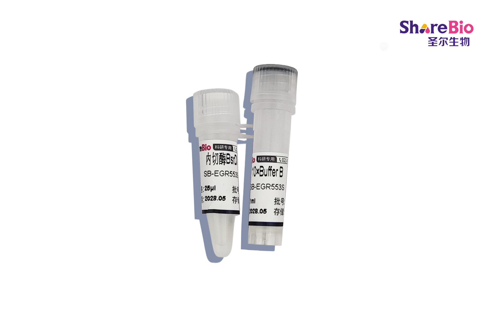 Type IIS 型限制性内切酶BsrDI（同裂酶：Bse3DI, BseMI）