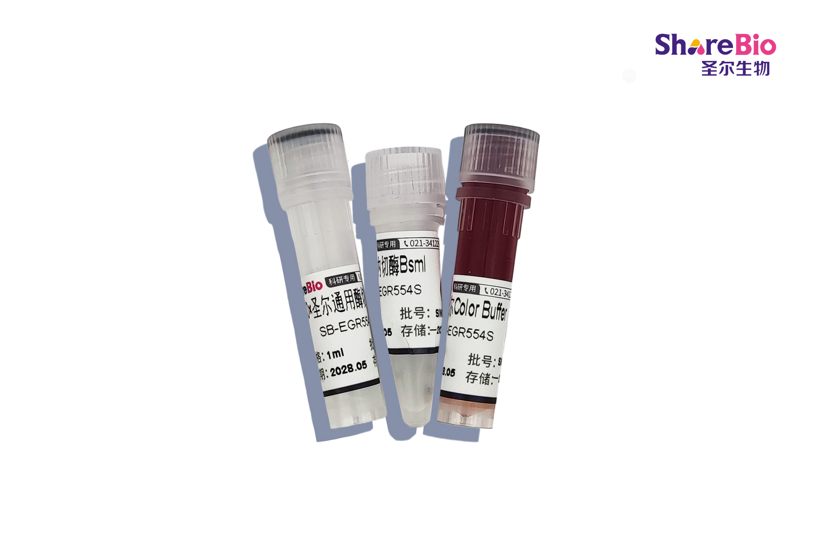 快速内切酶BsmI-HF(同裂酶BsaMI, Mva1269I, PctI)