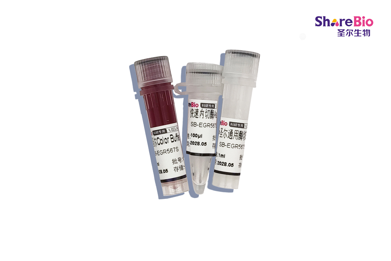 快速内切酶AseI-HF(同裂酶PshBI, VspI)
