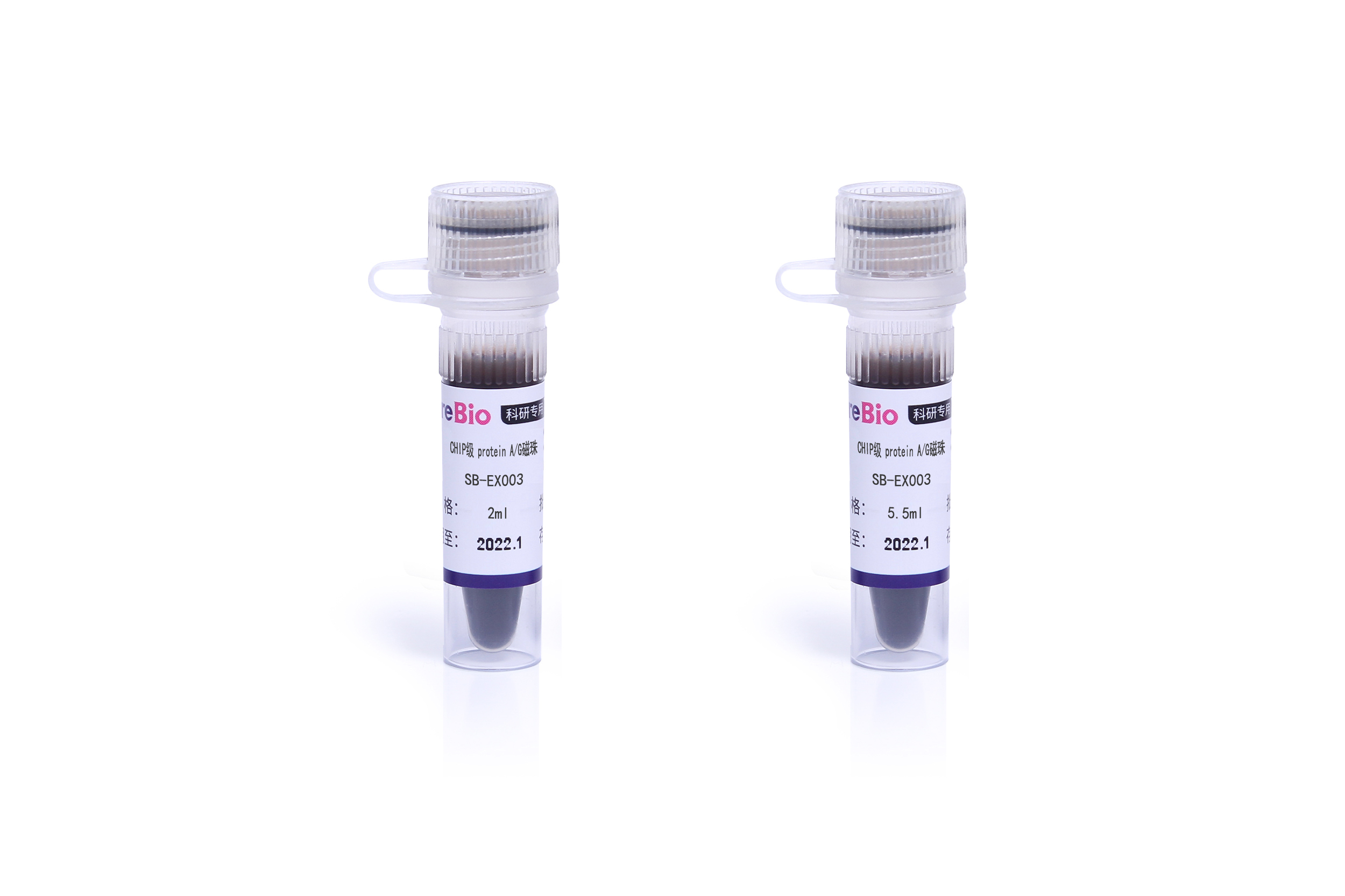 蛋白A/G磁珠(ChIP专用)ChIP Protein A/G Magnetic Beads