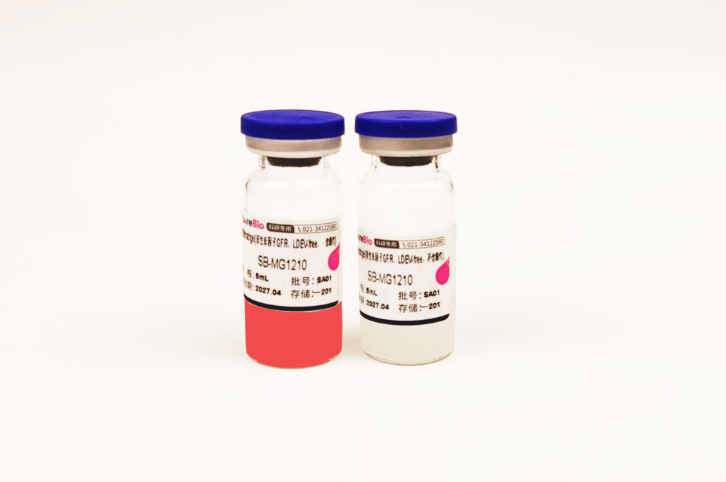 基质胶matrigel(低生长因子GFR,LDEV-free,默认发不含酚红,含酚红需备注)干冰运输