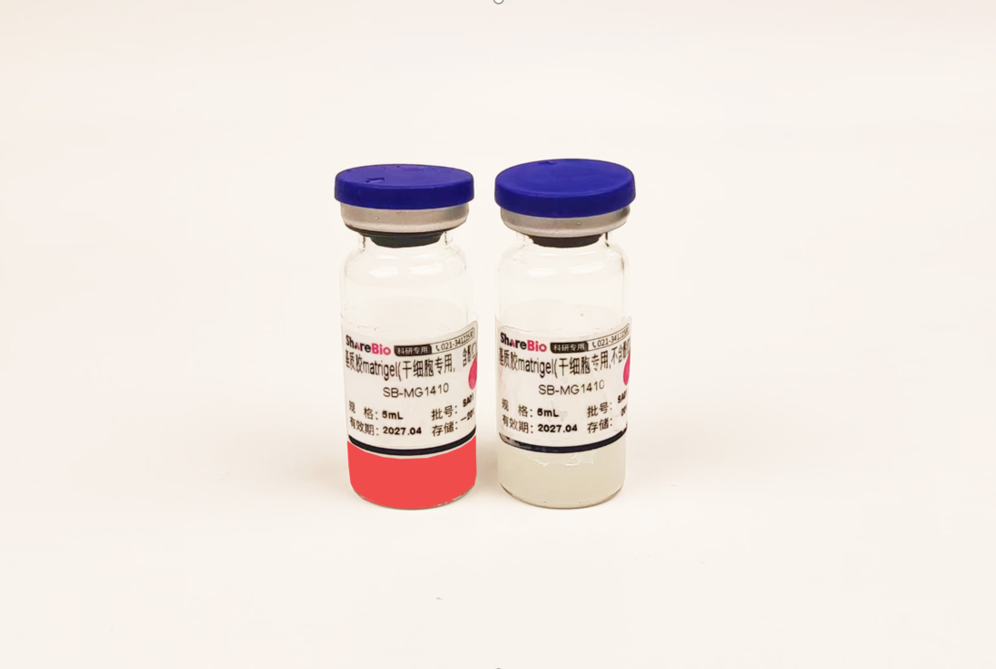 基质胶matrigel(干细胞专用Stem cell culture，LDEV-free，默认发不含酚红，含酚红需备注)干冰运输