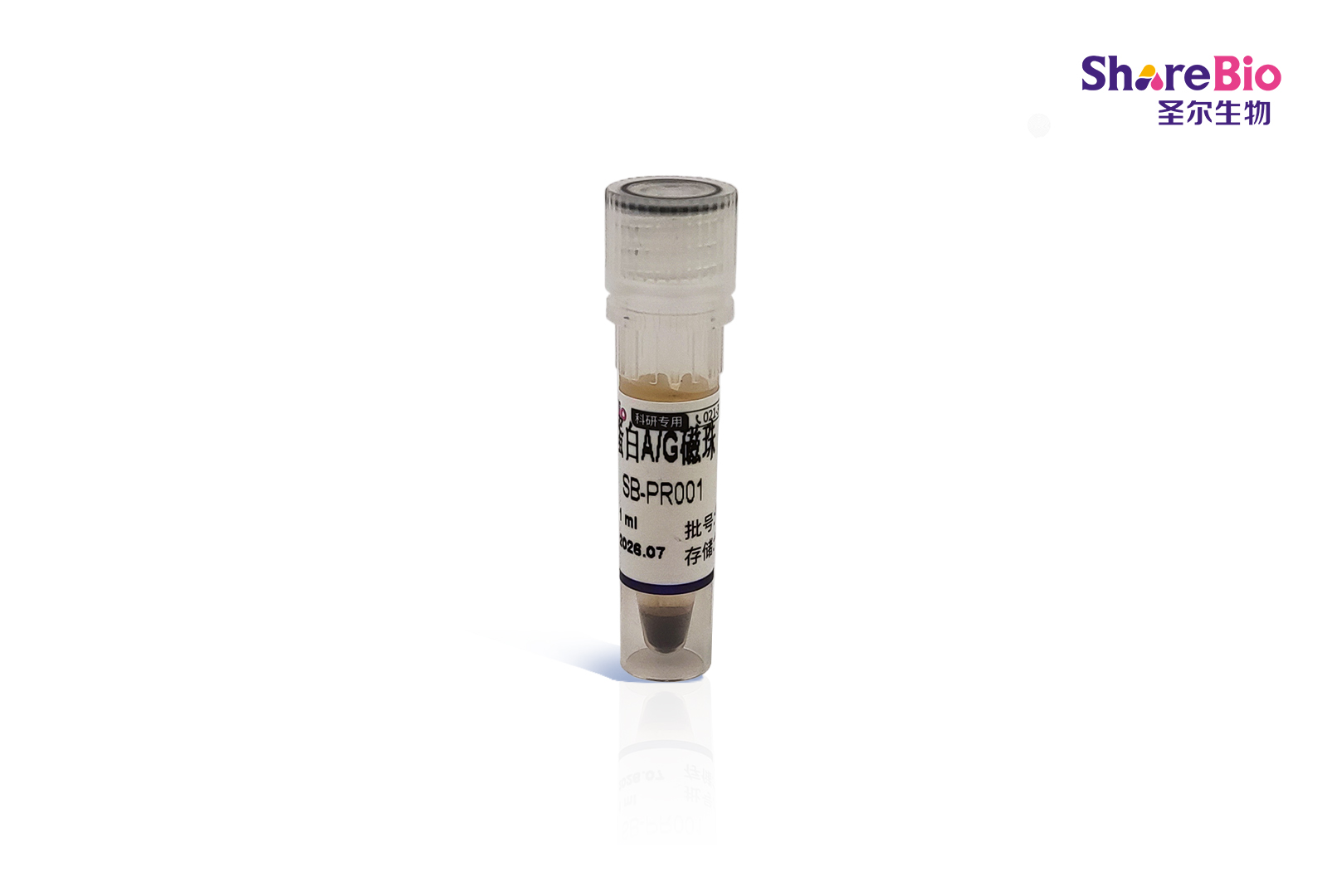 蛋白A/G磁珠(IP/Co-IP)Protein A/G Magnetic Beads